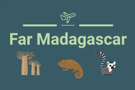 Far Madagascar Logo Baobabs trees, chameleons, lemurs