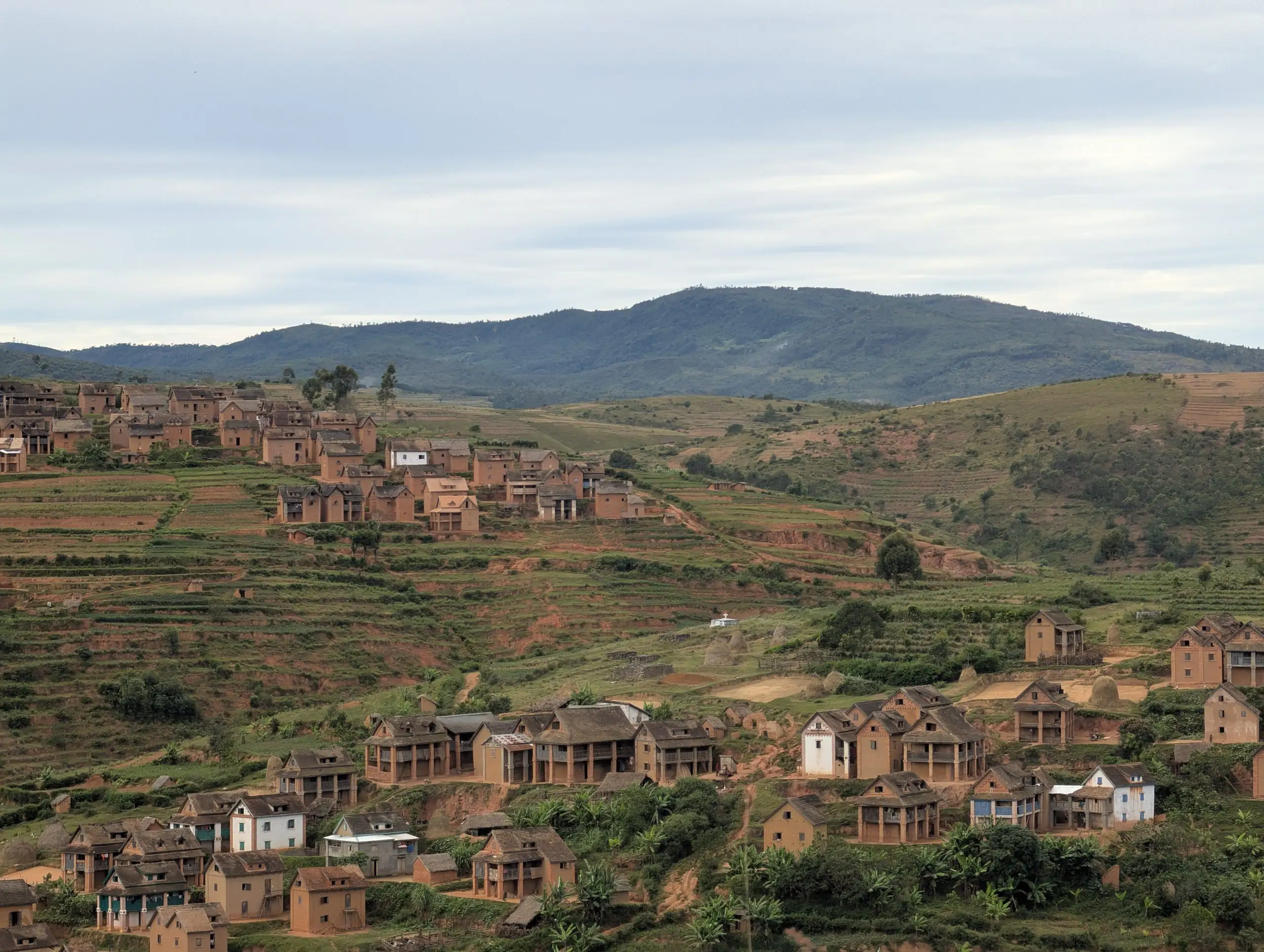 Local central countryside village of the Betsileo tribe near Fianarantsoa city on the way to Ranomafana houses made by mud and brick houses with clay roof in a hill of the highland picture by FAR Madagascar Travel Agency Tour Operator