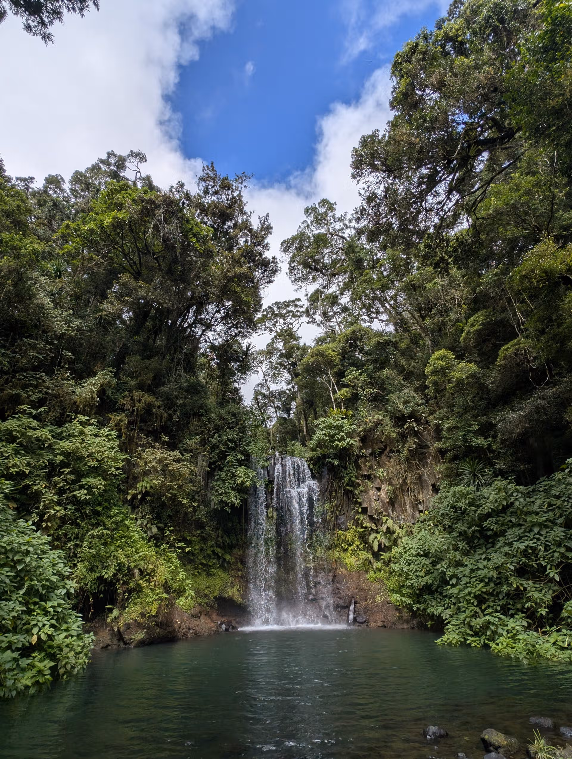 Waterfall inside the Montagne d'Ambre Amber Mountain National Park in Joffreville near Antsiranana Diego Suarez North Madagascar tropical rainforest picture by FAR Madagascar Travel Agency Tour Operator
