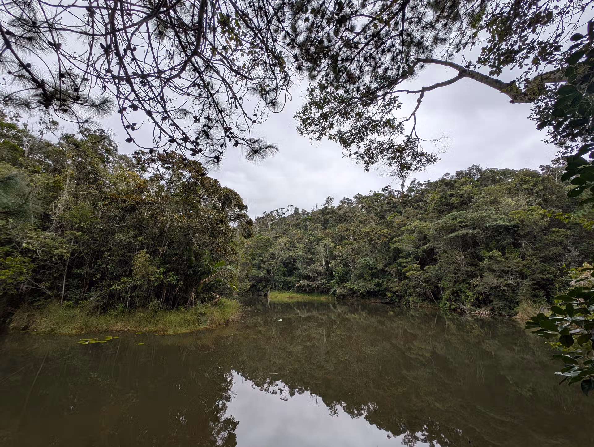 An image of the green lake in the middle of the dense evergreen rainforest of Andasibe Mantadia in a cloudy weather captured by FAR Madagascar