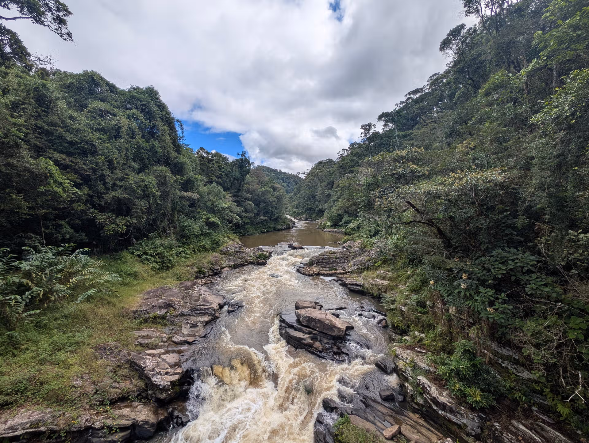 An image showing off the landscape of the Ranomafana national park with a river crossing the green rainforest captured by FAR Madagascar