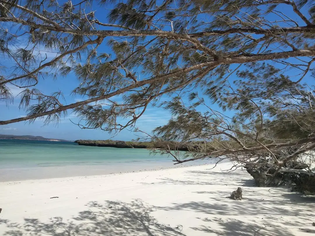 An image showing off white sand beaches shaded by filao trees overlooking clear translucent blue sea water in Dunes Bay Antsiranana North Madagascar