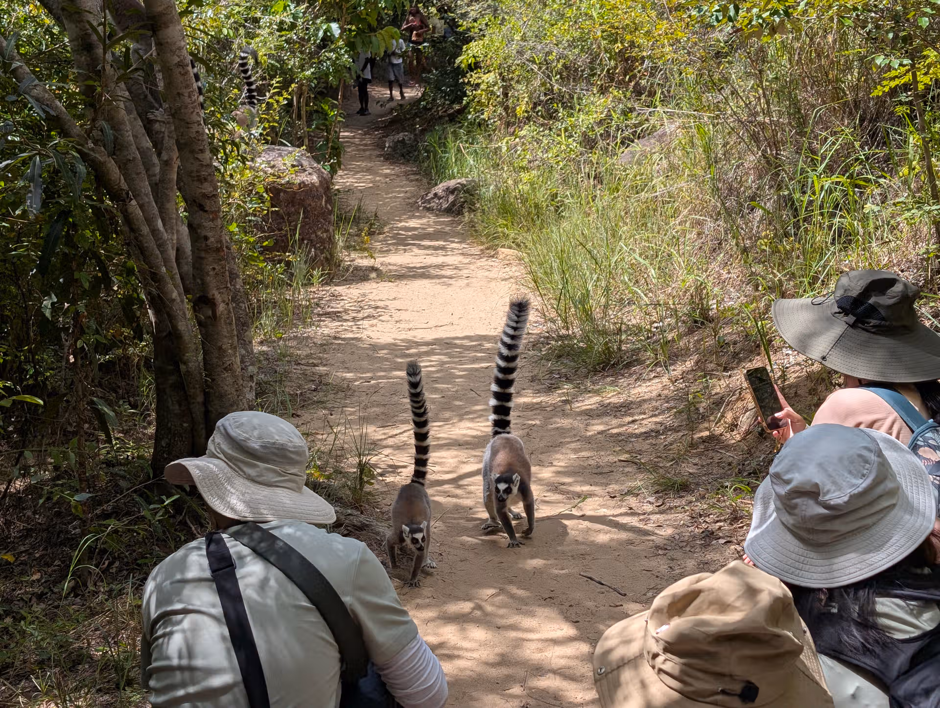 FAR Madagascar Malagasy Local Tour Operator